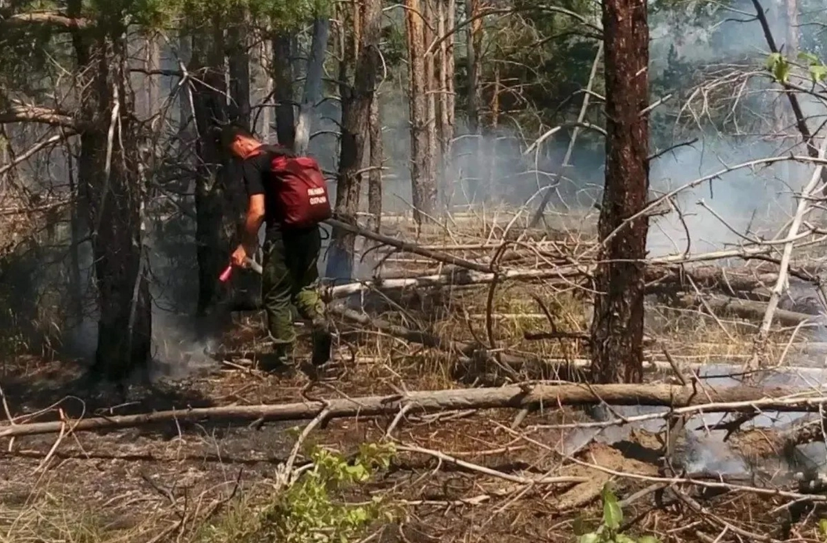 Обложка © Макс / Министерство природных ресурсов и экологии Ростовской области