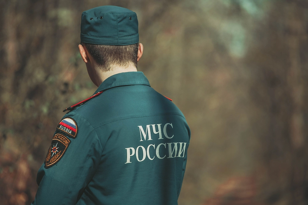 Обложка © Shutterstock / FOTODOM / Dizzy_Studio