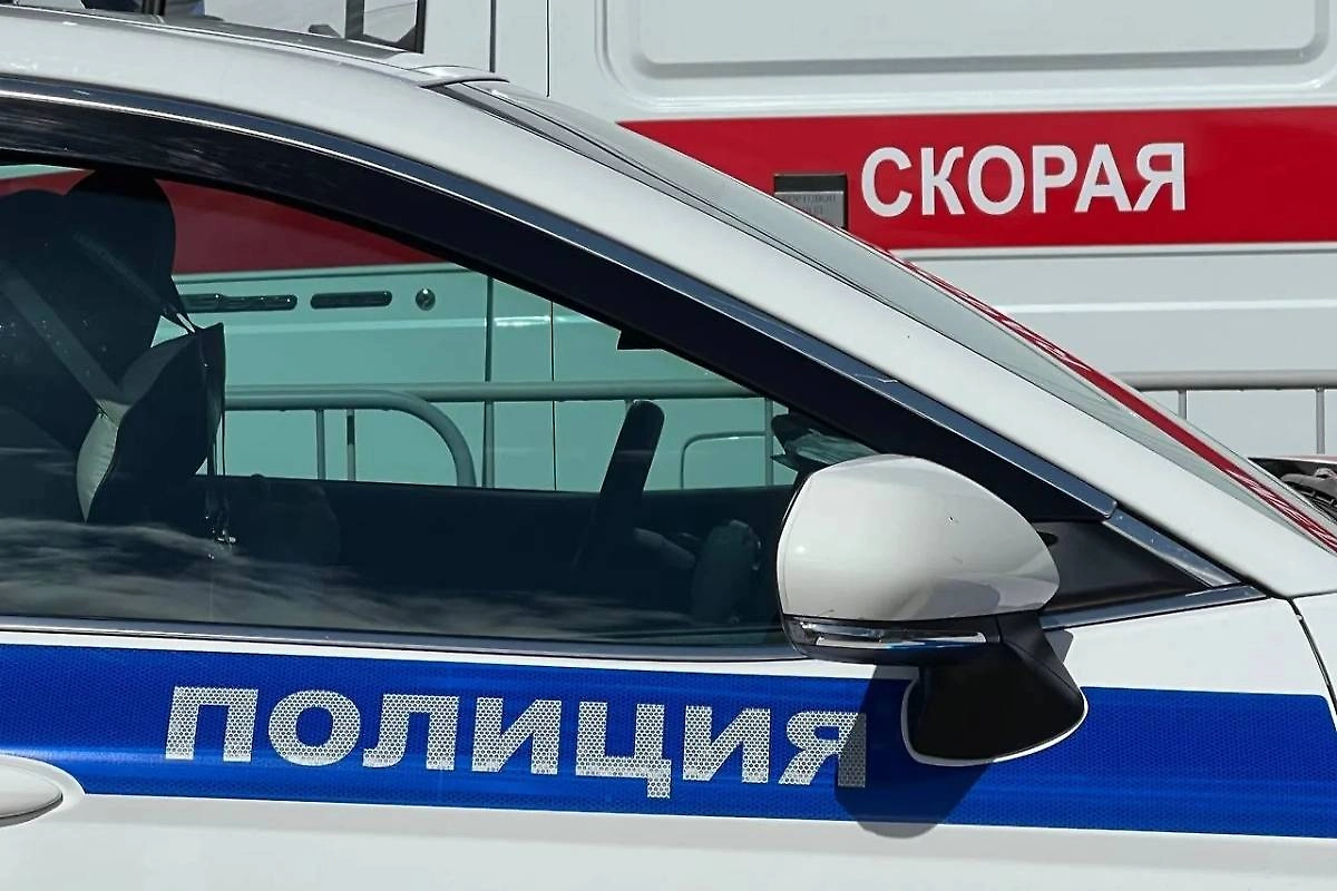 Обложка © Life.ru